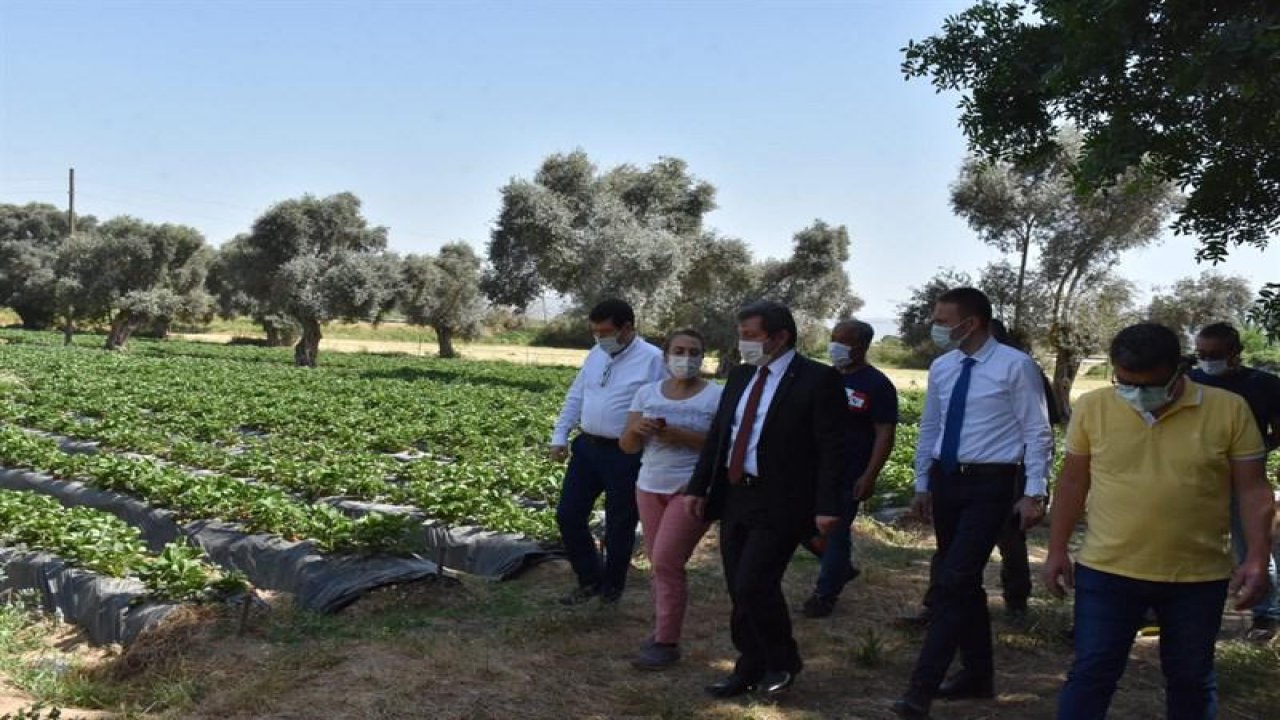 VALİ HANIM ÇİLEĞİ AİLELERE GEÇİM KAYNAĞI OLUYOR