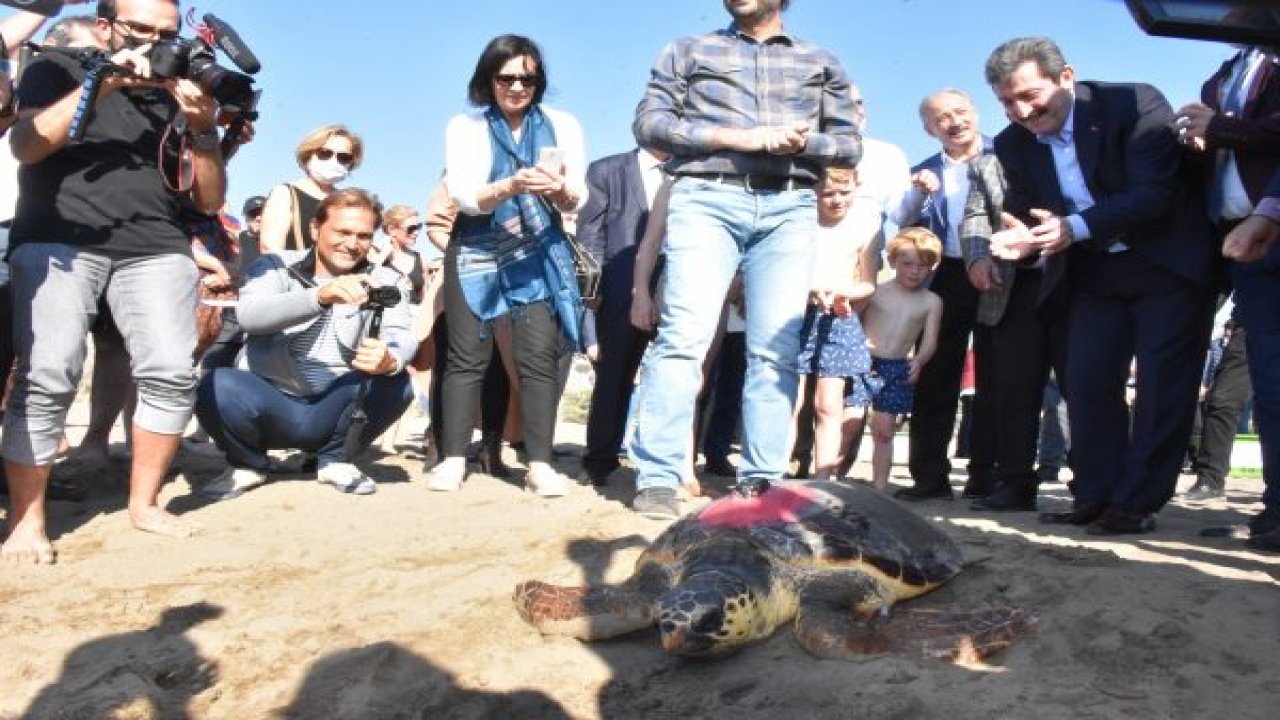 Muğla'da 2 caretta caretta ile yeşil deniz kaplumbağasının tedavisi tamamlandı