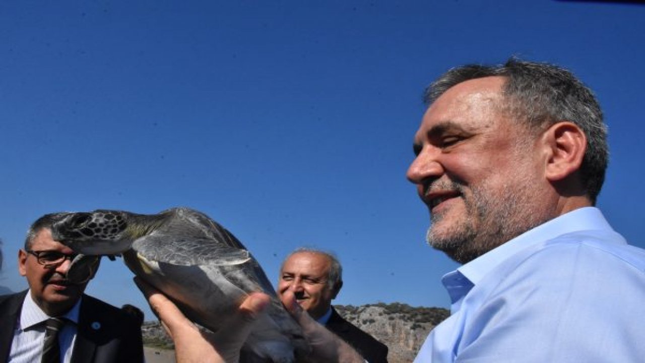 KÜRESEL ISINMA YÜZÜNDEN CARETTA CARETTALARIN GÜZERGAHI DEĞİŞTİ