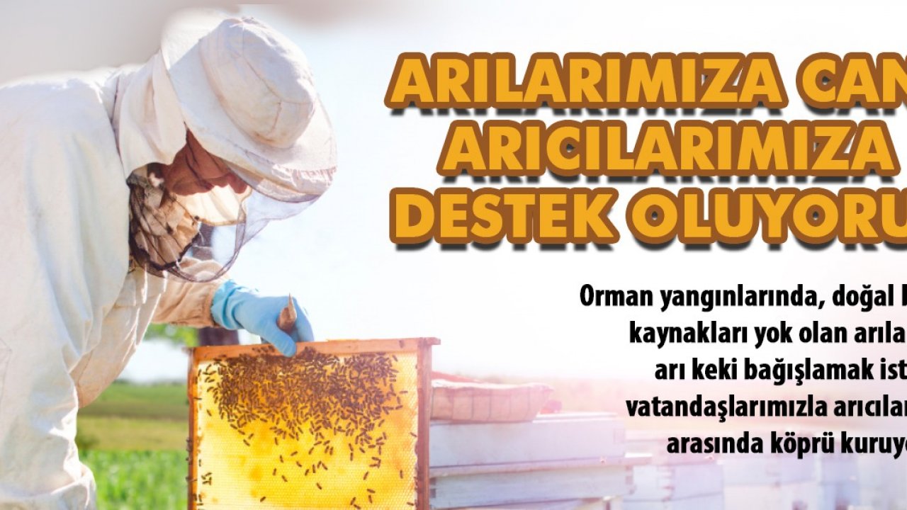 BÜYÜKŞEHİRDEN ARICILARA DESTEK KAMPANYASI