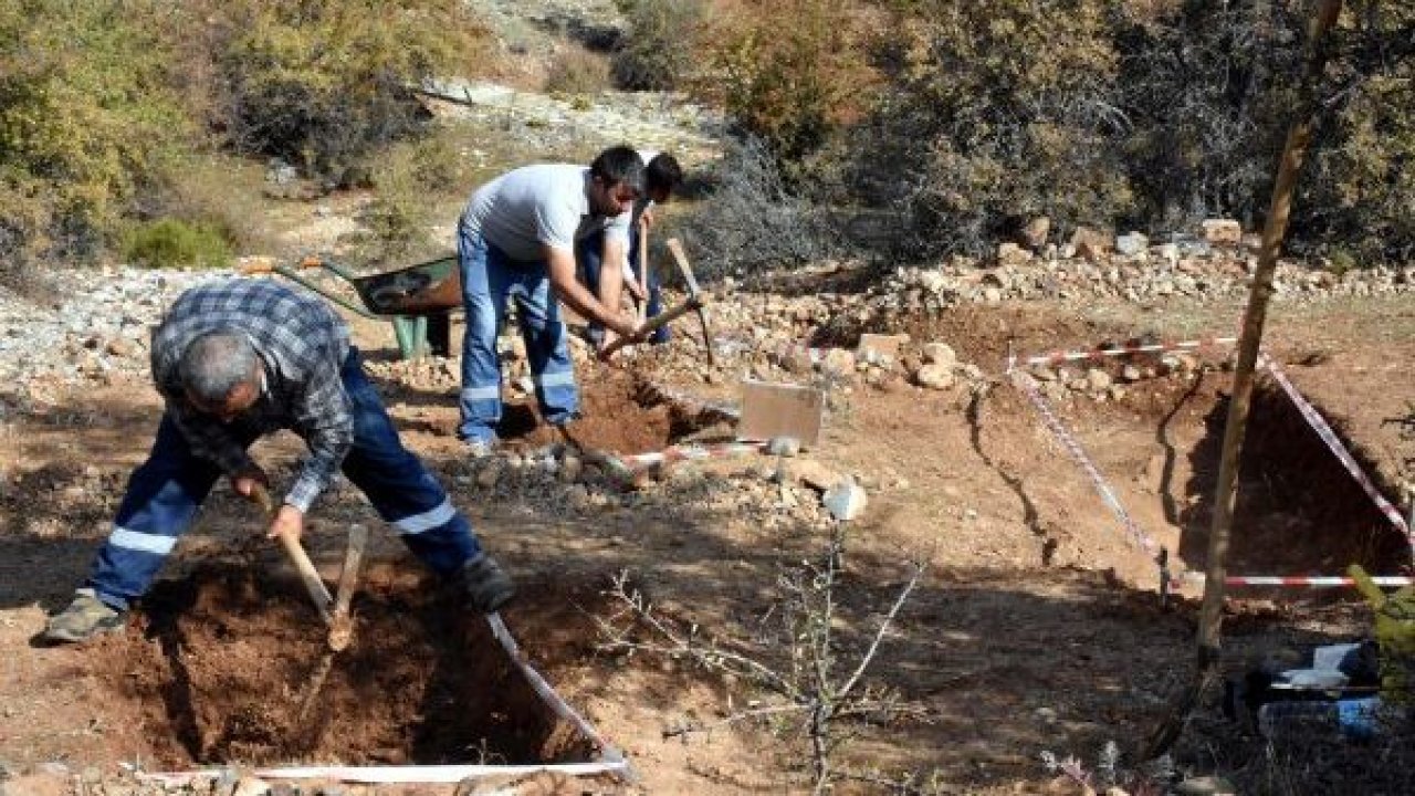 9 milyon yıl öncesine ait fosil alanında yeni buluntulara ulaşıldı