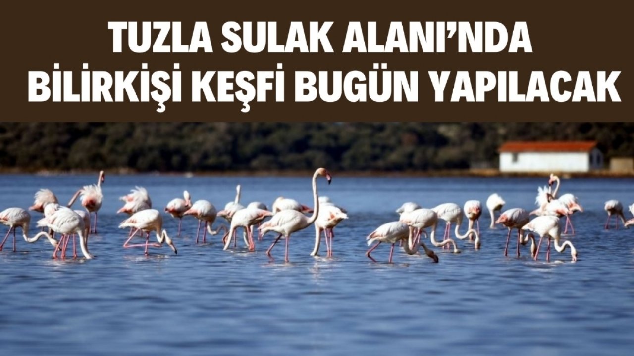 TUZLA SULAK ALANI’NDA BİLİRKİŞİ KEŞFİ BUGÜN YAPILACAK
