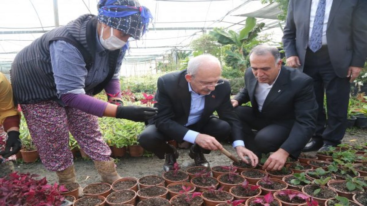 CHP GENEL BAŞKANI KILIÇDAROĞLU, MUĞLA'DA ÜRETİCİLERLE BİR ARAYA GELDİ
