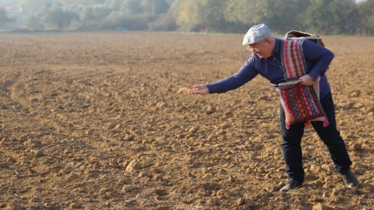 1 TON KARAKILÇIK BUĞDAYI TOPRAKLA BULUŞTU