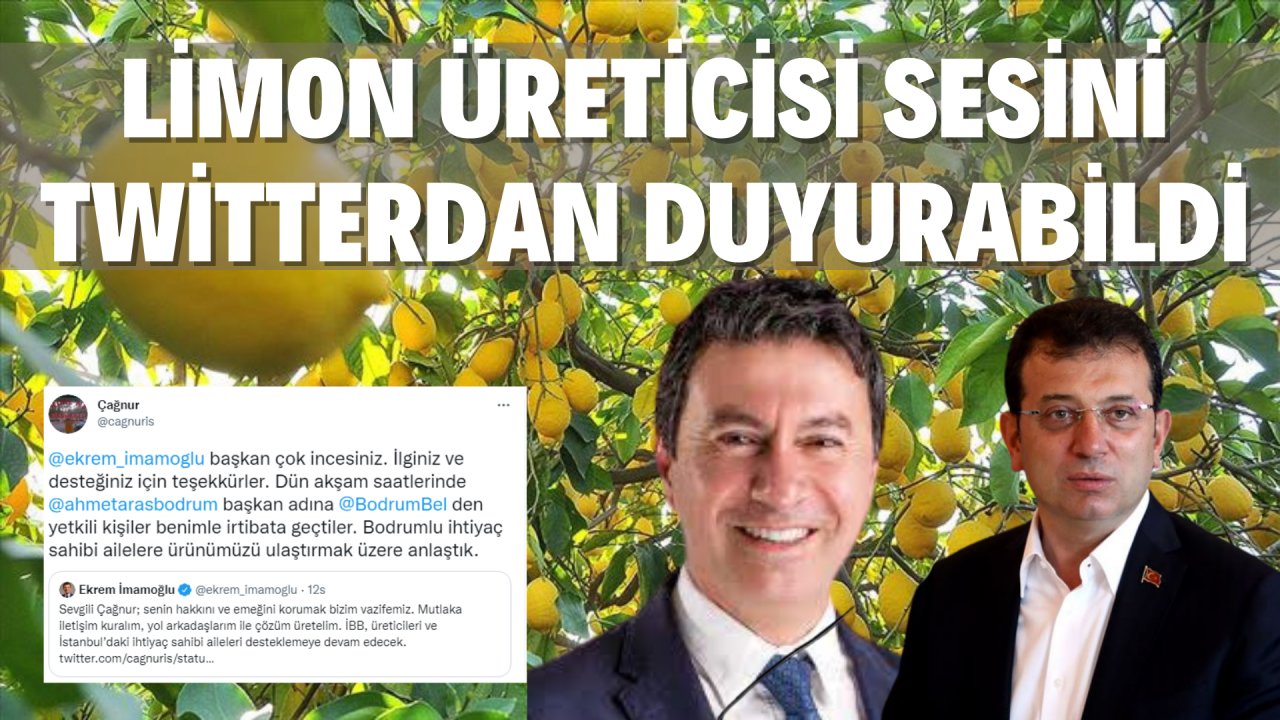 LİMON ÜRETİCİSİ SESİNİ TWİTTERDAN DUYURABİLDİ