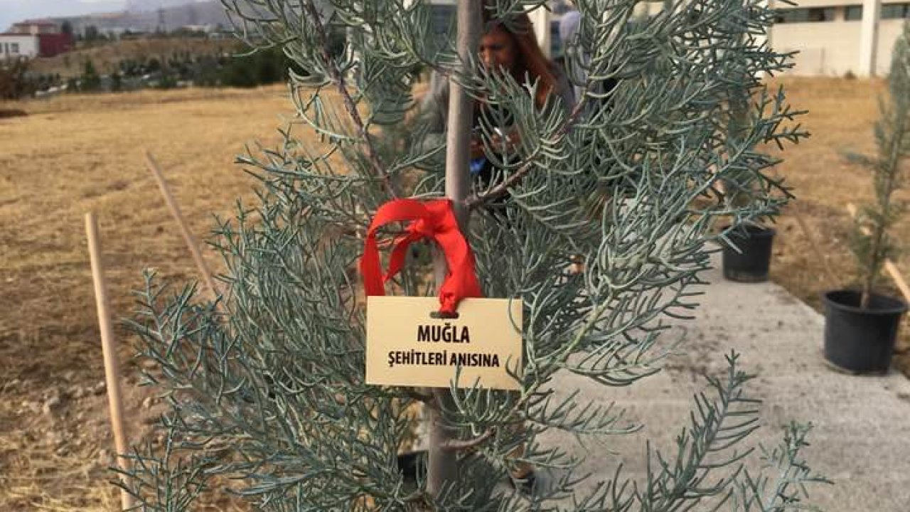 81 İL ŞEHR-İ NUH'TA BULUŞTU