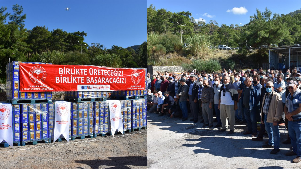 YANGINDAN ETKİLENEN BAL ÜRETİCİLERİNE ARI YEMİ DAĞITILDI