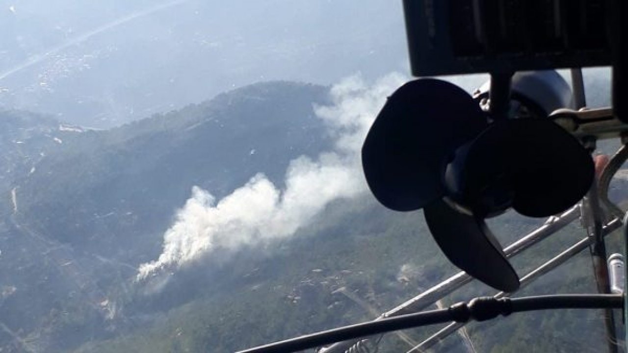 MİLAS'TA ORMAN YANGINI ÇIKTI