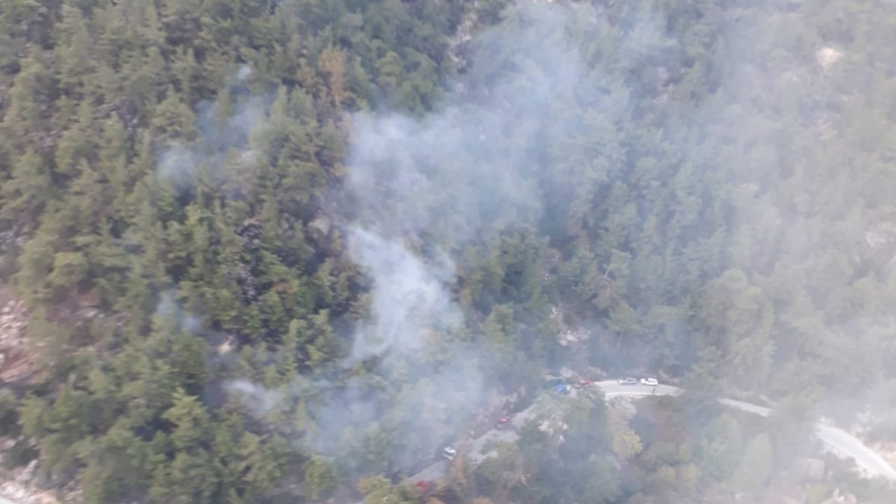 MİLAS’TA ÇIKAN ORMAN YANGINI KONTROL ALTINA ALINDI 