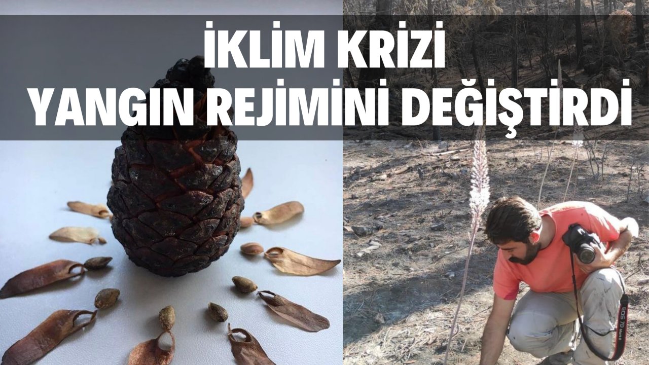 İKLİM KRİZİ YANGIN REJİMİNİ DEĞİŞTİRDİ