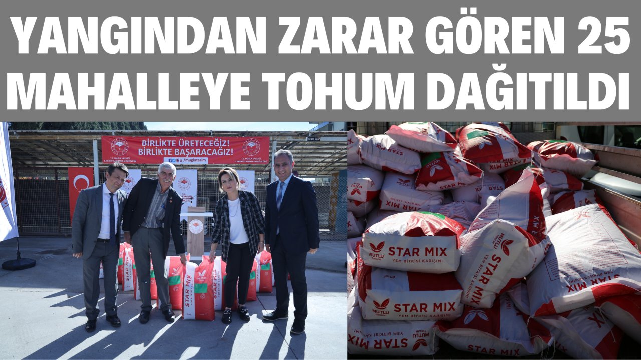 YANGINDAN ZARAR GÖREN 25 MAHALLEYE TOHUM DAĞITILDI