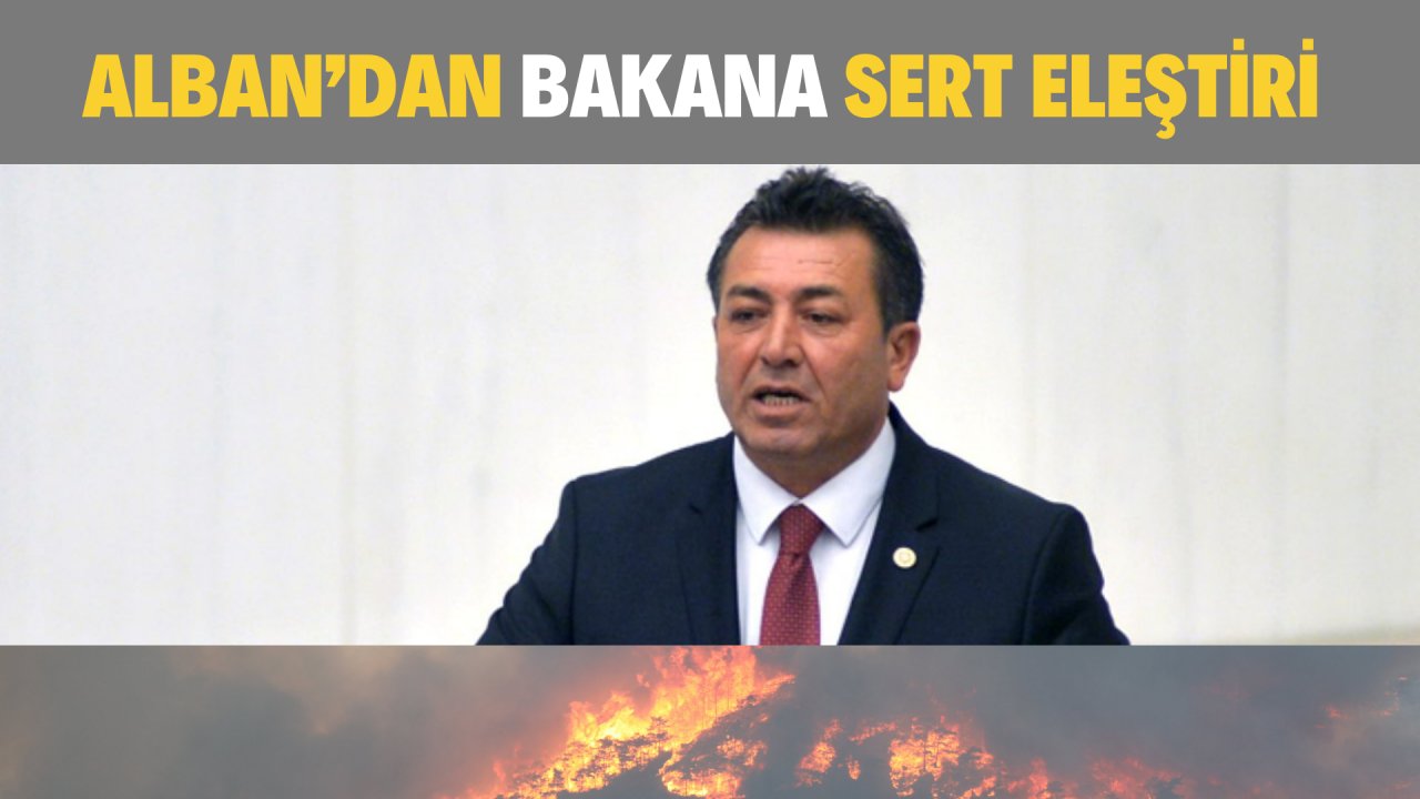 ALBAN’DAN BAKANA SERT ELEŞTİRİ