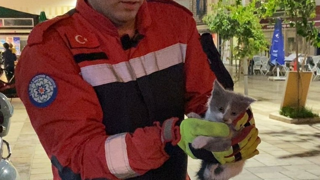 MERDİVENLE DUVAR BOŞLUĞU ARASINA SIKIŞAN KEDİ YAVRUSUNU İTFAİYE KURTARDI