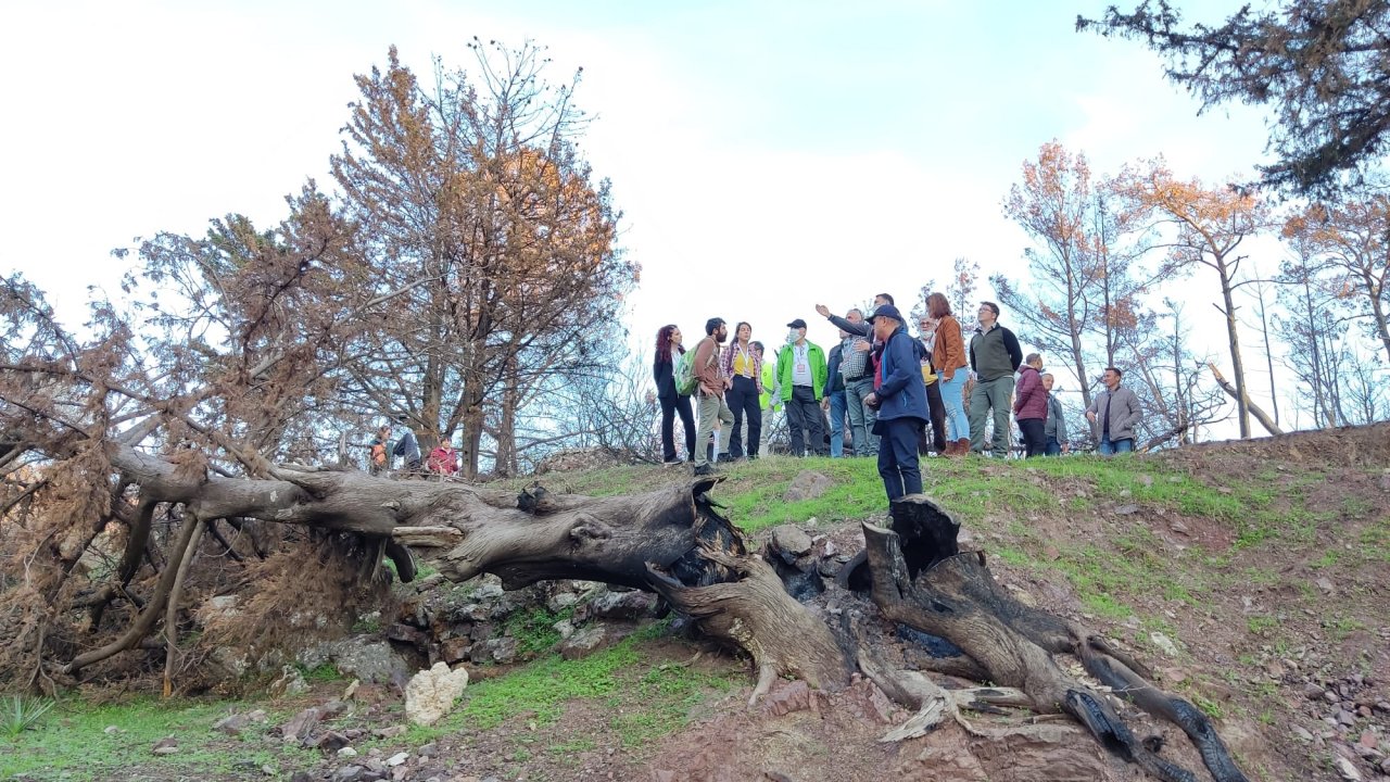 ORMAN YANGINLARI ÇALIŞTAYI TAMAMLANDI