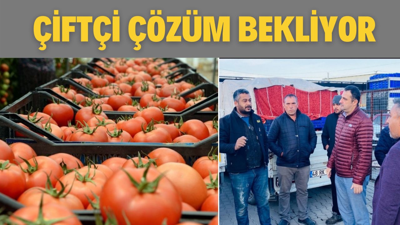 ÇİFTÇİ ÇÖZÜM BEKLİYOR