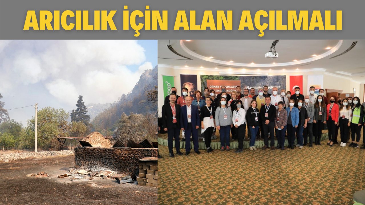 ARICILIK İÇİN ALAN AÇILMALI