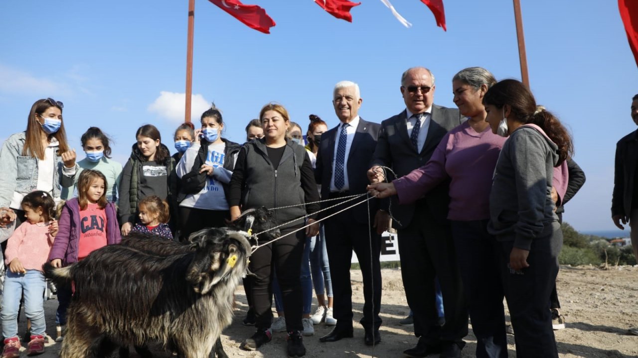 13 KADIN ÜRETİCİYE KIL KEÇİSİ DAĞITILDI