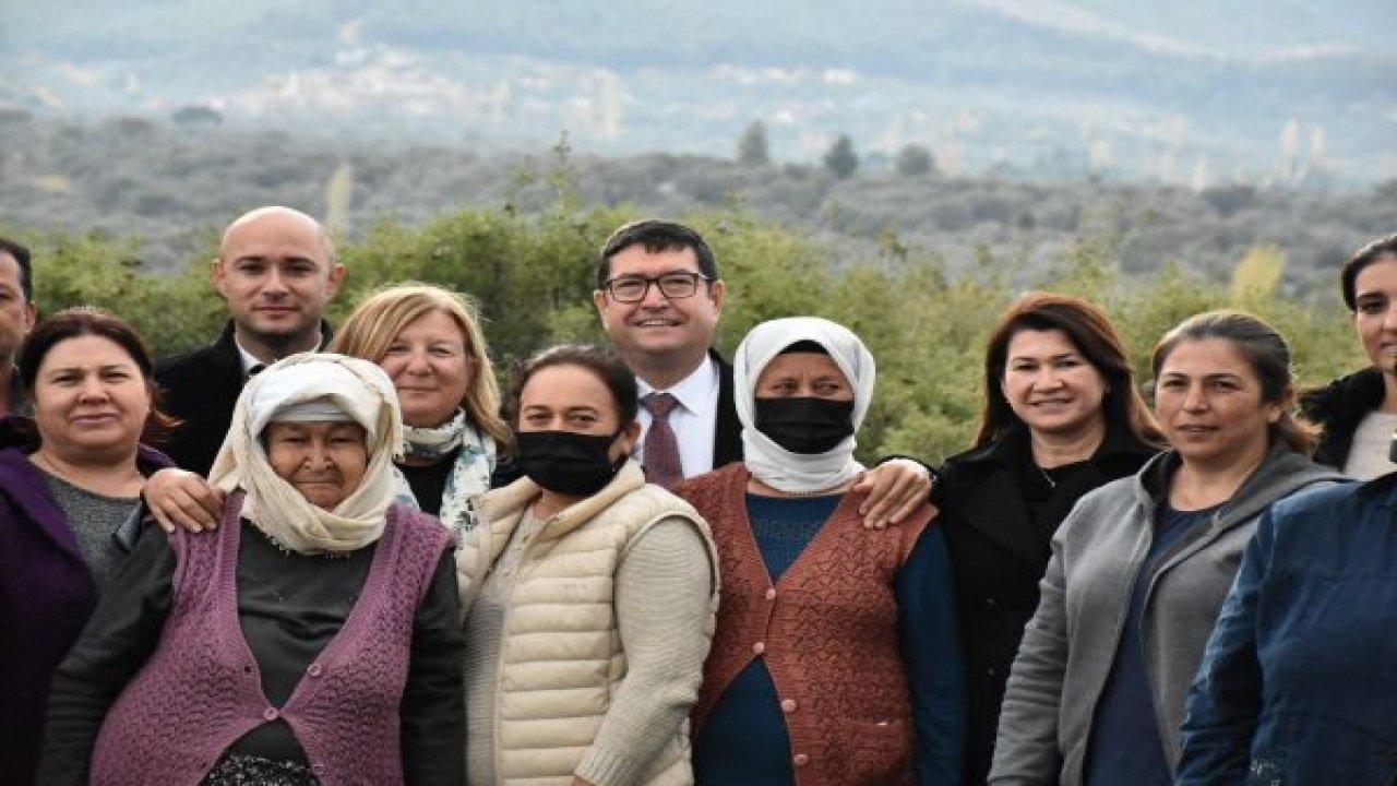 TATLI PATATESE YOĞUN İLGİ