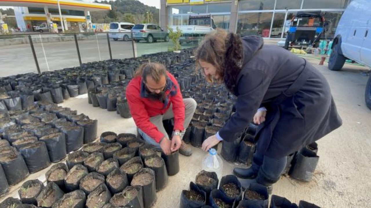 MÜHENDİS ÇİFT, YANAN ORMANLIK ALANLARIN YEŞİLLENDİRİLMESİ İÇİN FİDAN YETİŞTİRİYOR