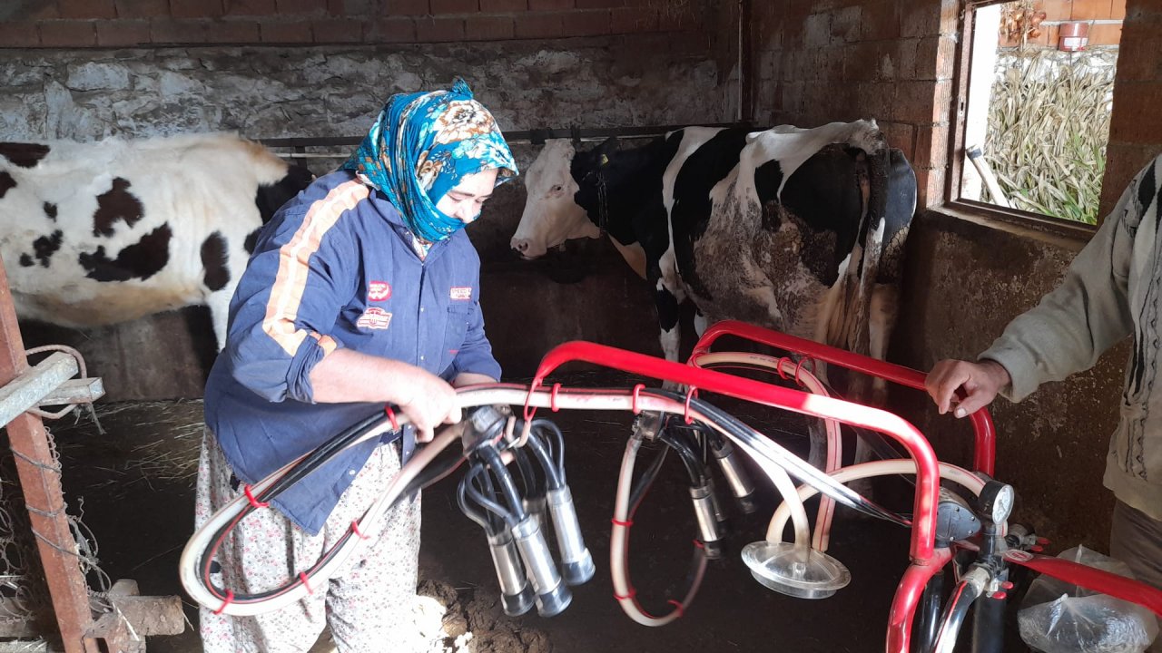 YÜZDE 46,8’LİK ARTIŞ ÜRETİCİYİ MEMNUN ETMEDİ