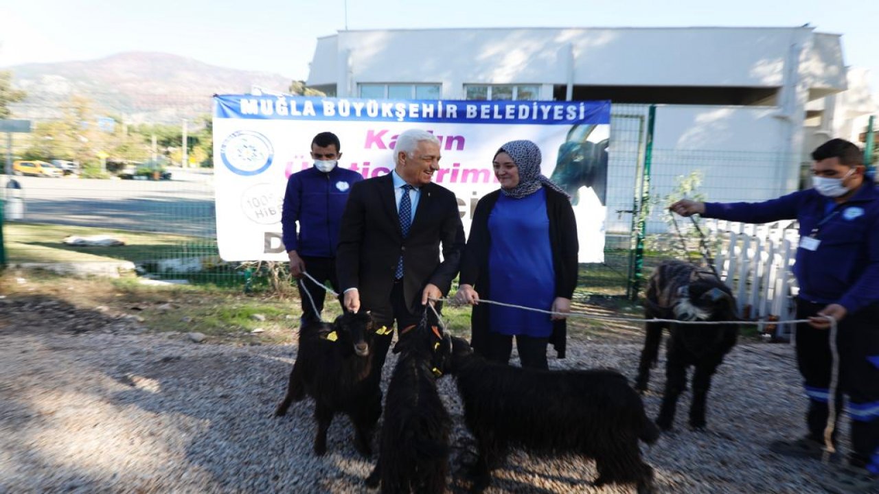 KIL KEÇİSİ DESTEĞİ DEVAM EDİYOR