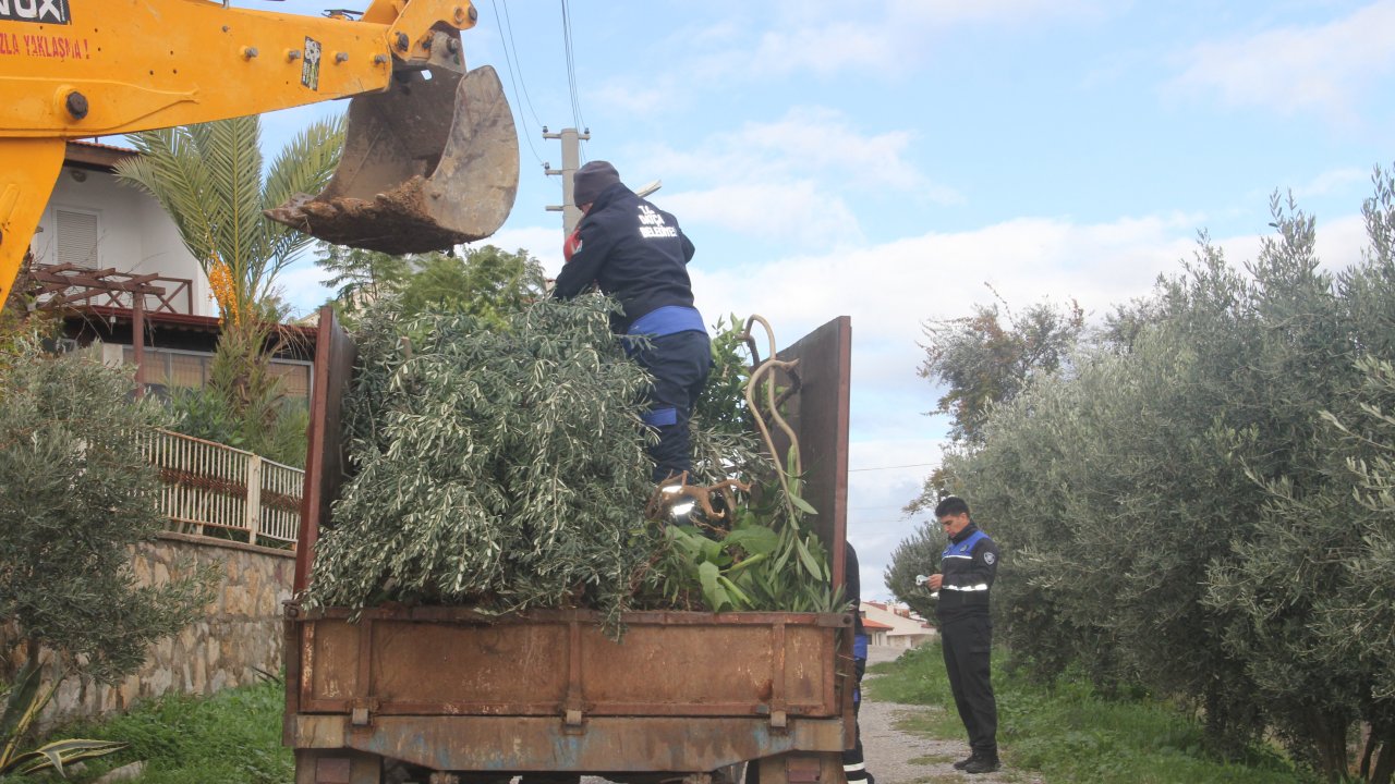 Datça'da ağaç ve çiçeklerin sökülmesi tepki çekti