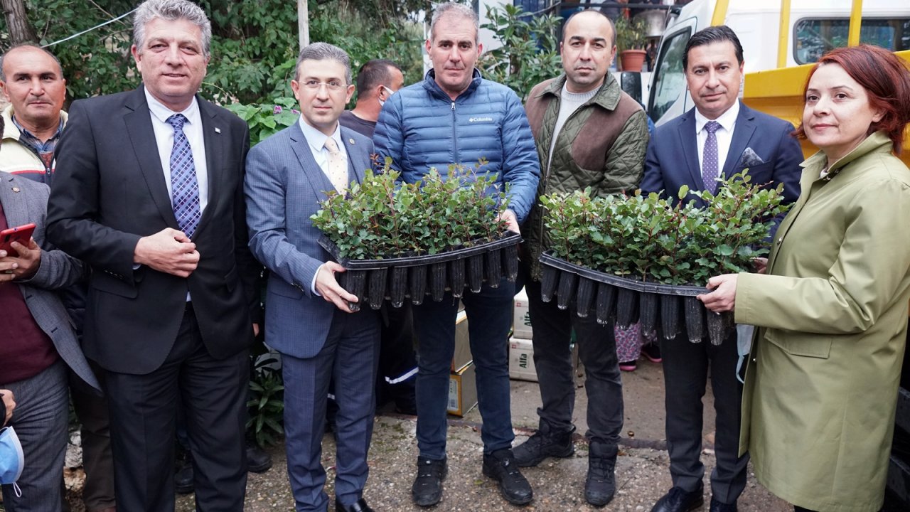 ÜRETİCİYE KEÇİBOYNUZU FİDANI DESTEĞİ