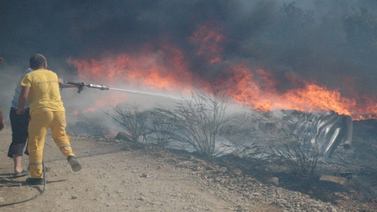 Bodrum alevlere teslim oldu