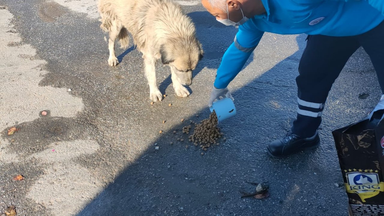 SOKAKTA YAŞAYAN CAN DOSTLAR UNUTMADI