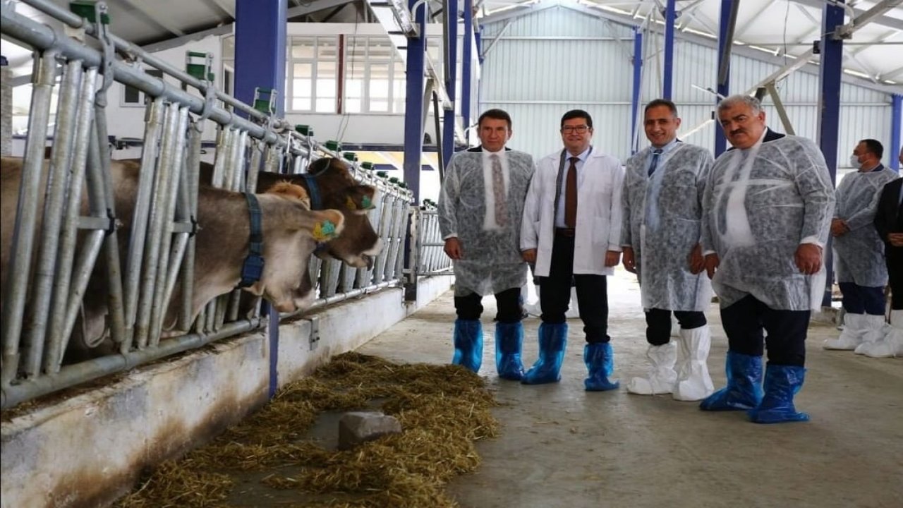 165 PROJEYE 36 MİLYON HİBE SAĞLANDI