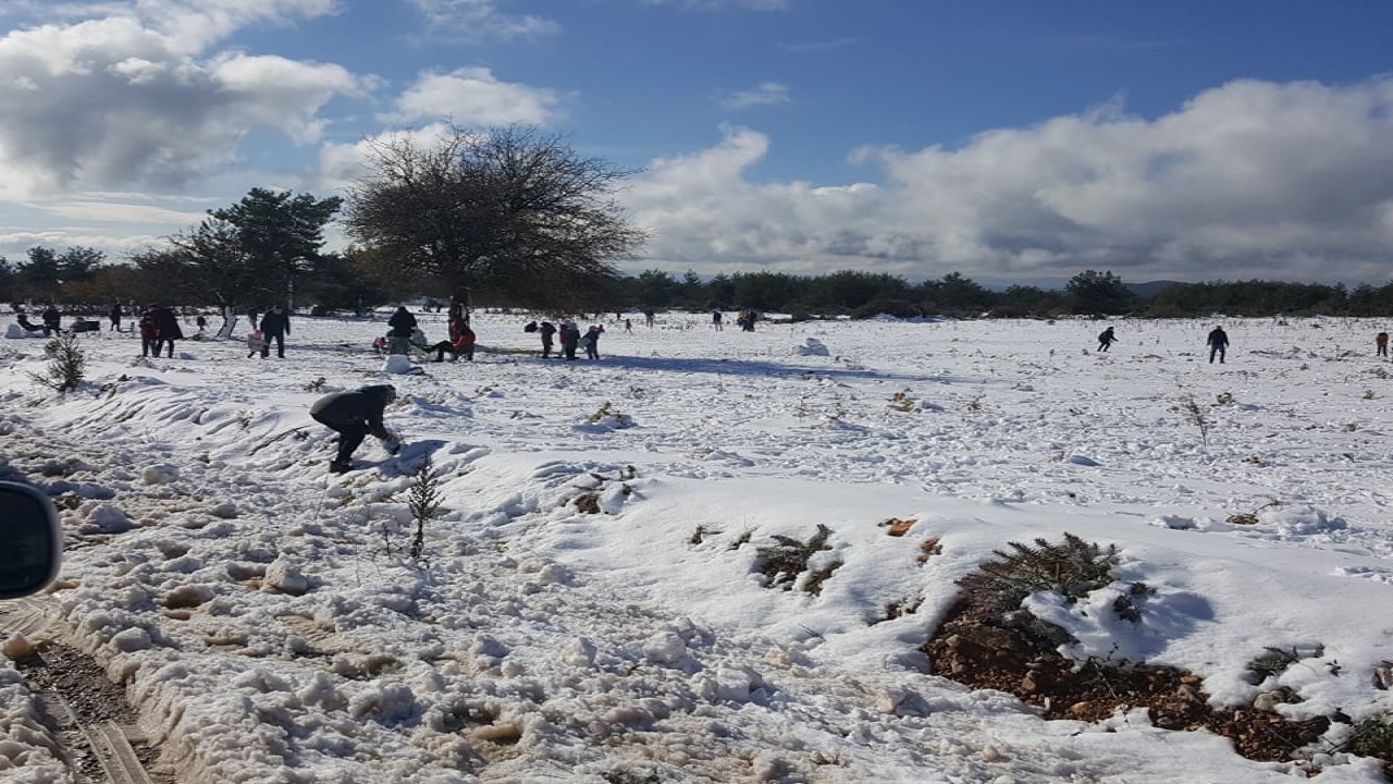 MUĞLALILAR KARIN TADINI ÇIKARDI
