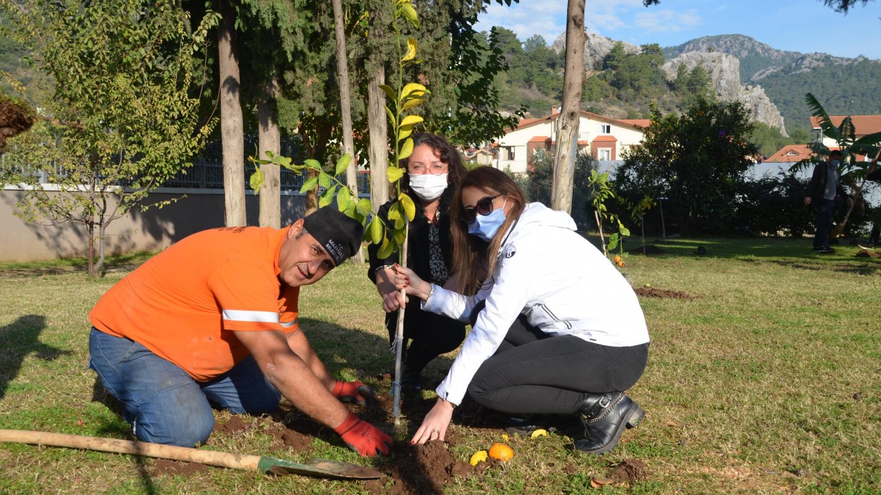 2 BİN 200 ADET FİDAN DİKİLDİ