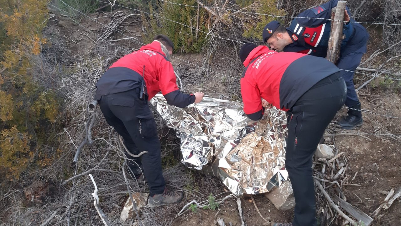 KAYBOLAN KİŞİ ORMANDA ÖLÜ BULUNDU