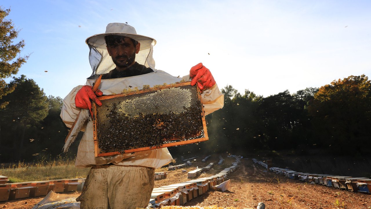 BÜYÜKŞEHİR 108 BİN 400 PETEĞİ ŞOKLADI