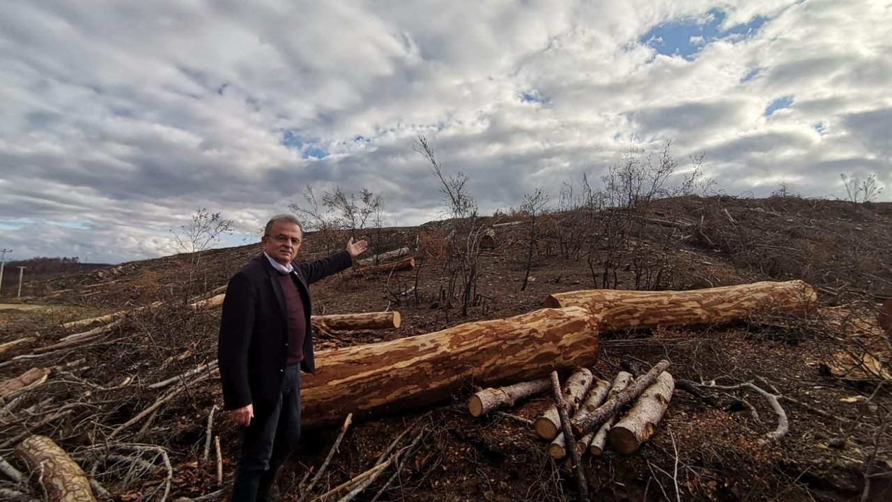 “KESİM GELİRLERİ YANGIN MAĞDURLARI İÇİN HARCANSIN”