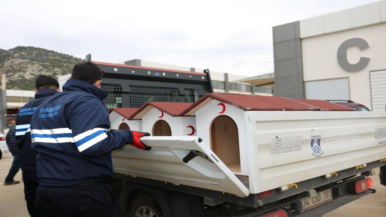 HAYVANLAR İÇİN SICAK YUVA KULÜBELERİ PROJESİ BAŞLATILDI