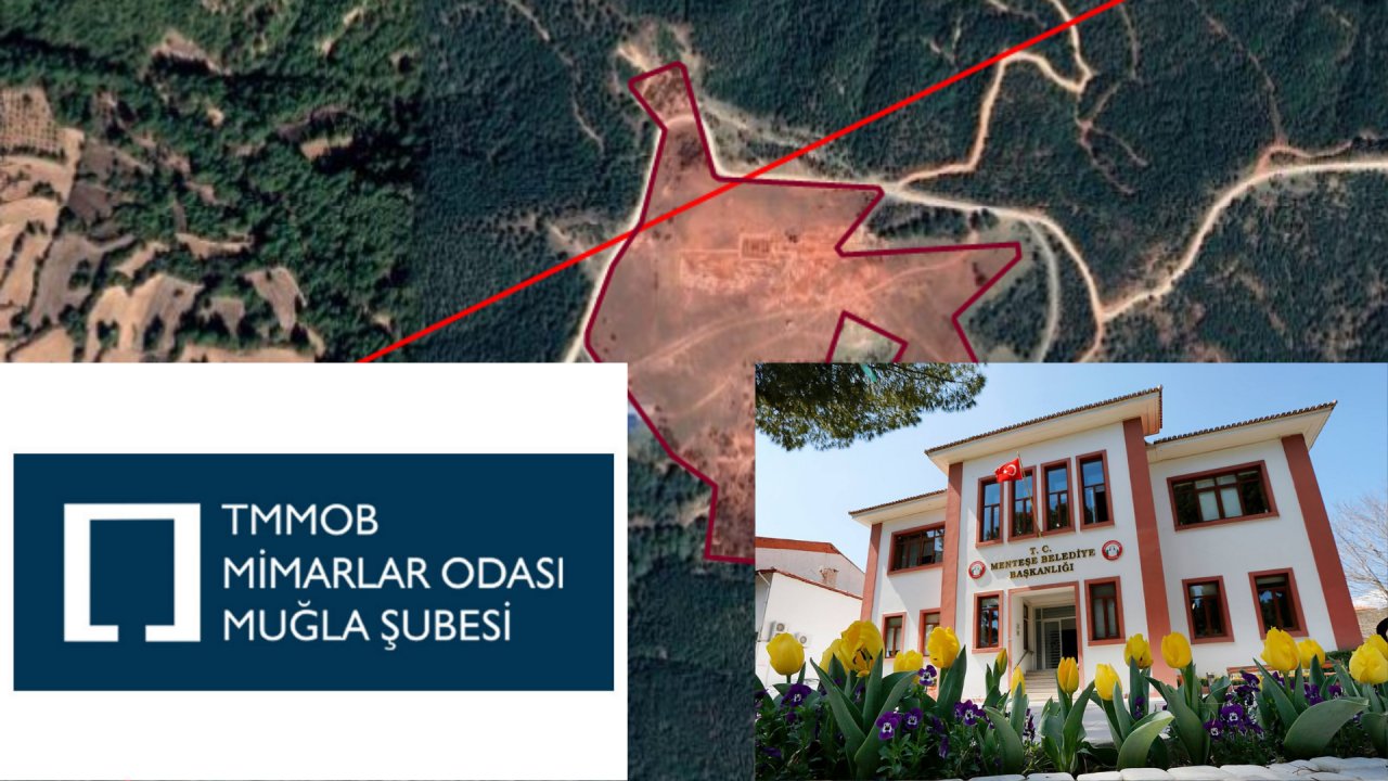 BİR GARİP RUHSAT MESELESİ