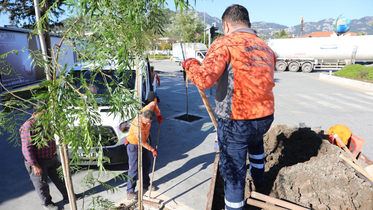 MARMARİS’TE AĞAÇLANDIRMA ÇALIŞMASI YAPILIYOR