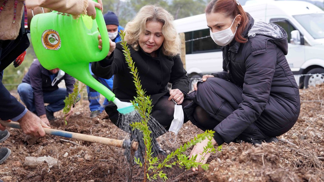 8 BİN 500 FİDAN TOPRAKLA BULUŞTU