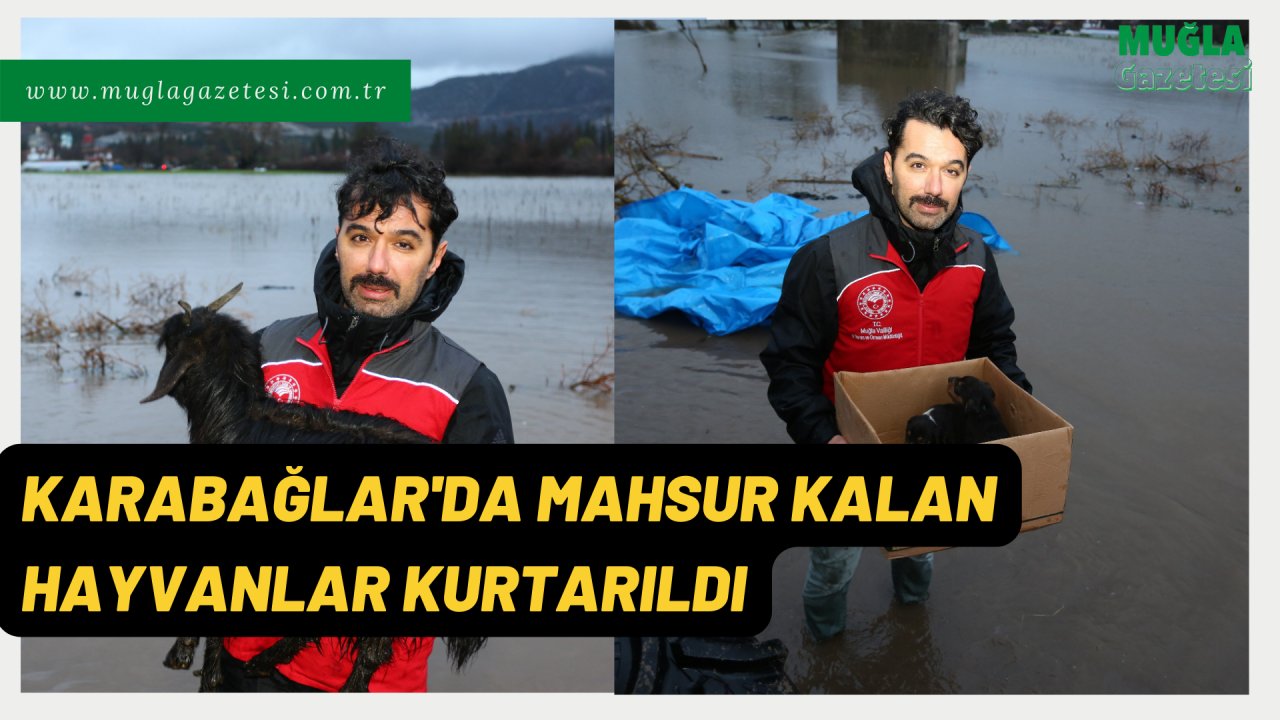 KARABAĞLAR'DA MAHSUR KALAN HAYVANLAR KURTARILDI