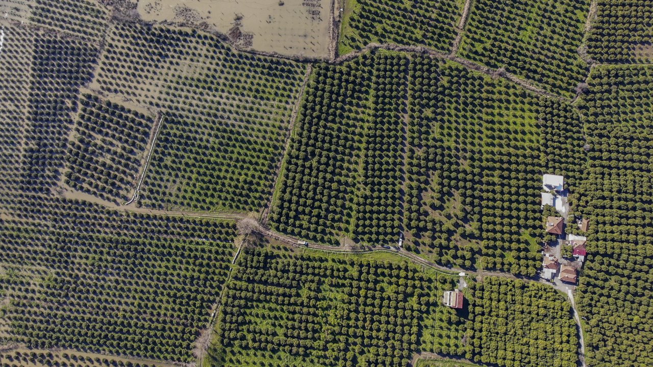 NARENCİYE BAHÇELERİ SULAR ALTINDA KALDI