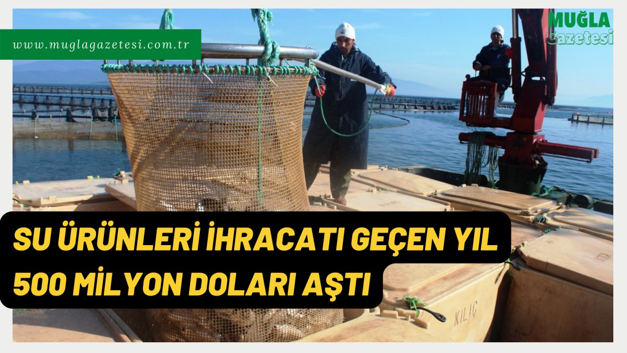 SU ÜRÜNLERİ İHRACATI GEÇEN YIL 500 MİLYON DOLARI AŞTI