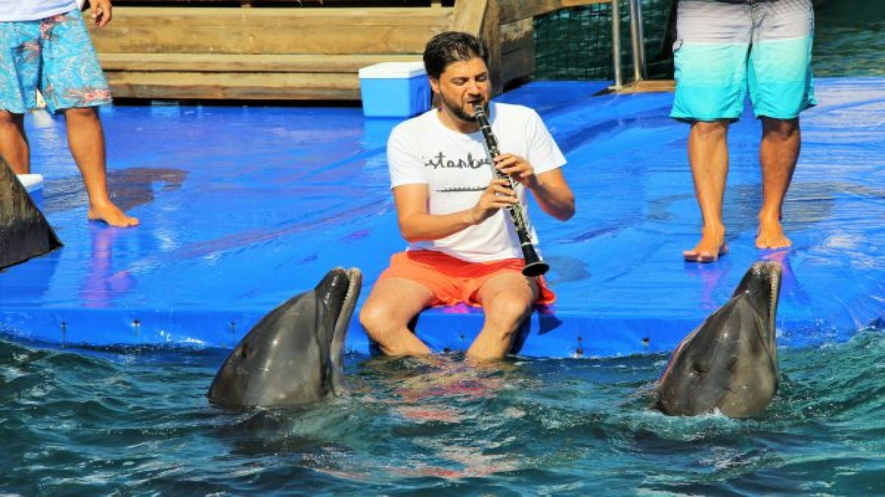 Yunuslar klarnet eşliğinde dans etti