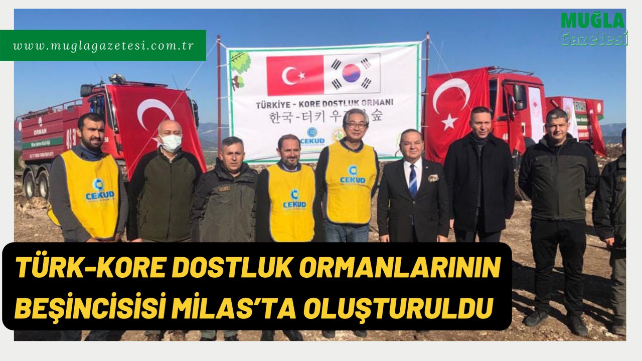 TÜRK-KORE DOSTLUK ORMANLARININ BEŞİNCİSİSİ MİLAS’TA OLUŞTURULDU