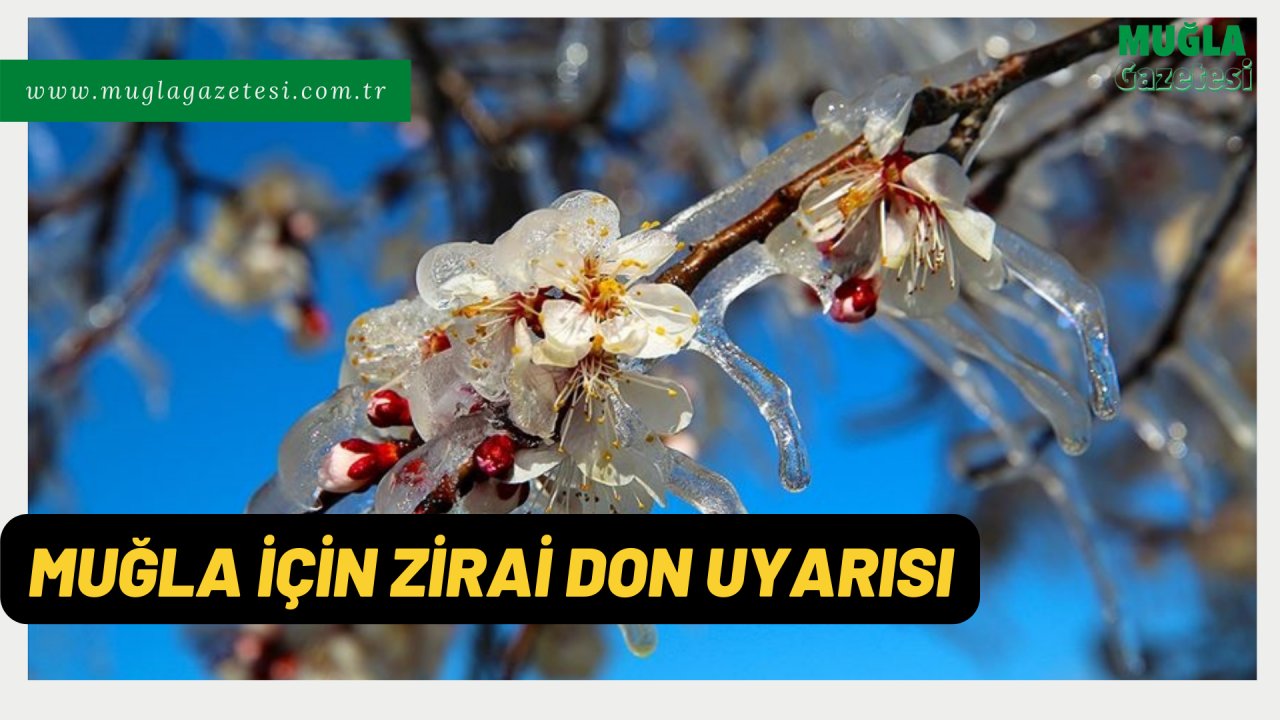 MUĞLA İÇİN ZİRAİ DON UYARISI