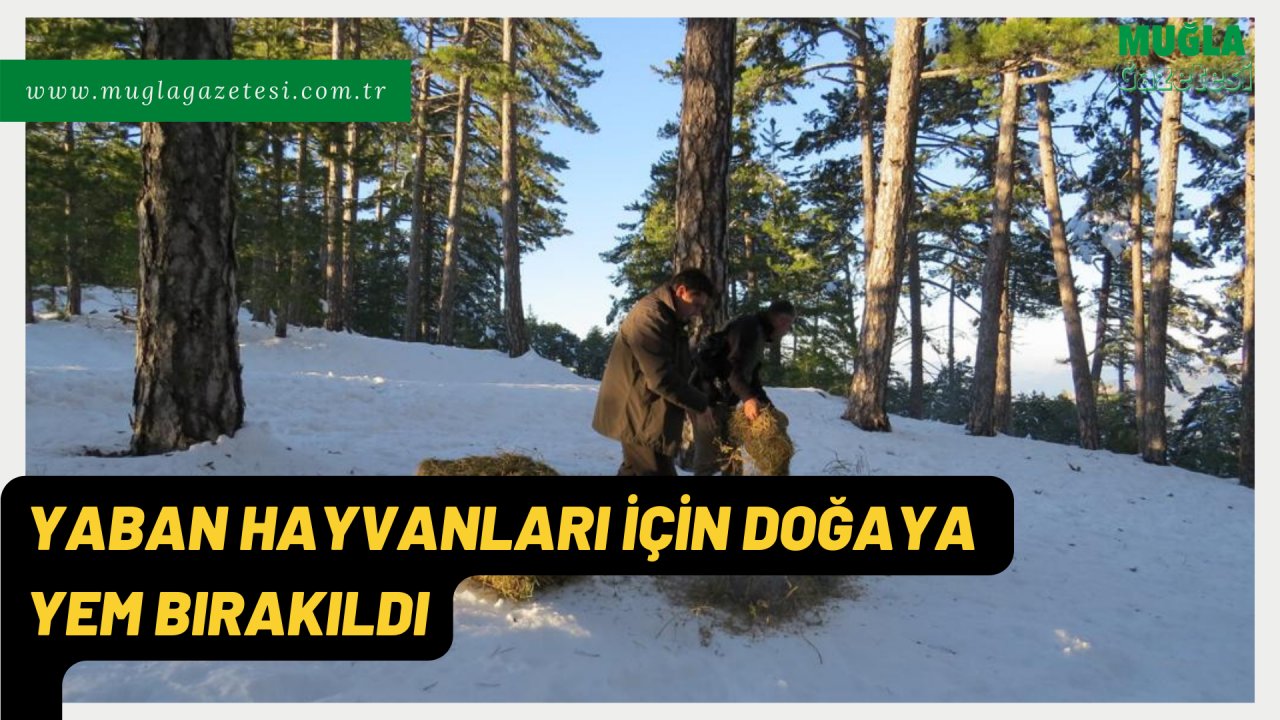 YABAN HAYVANLARI İÇİN DOĞAYA YEM BIRAKILDI