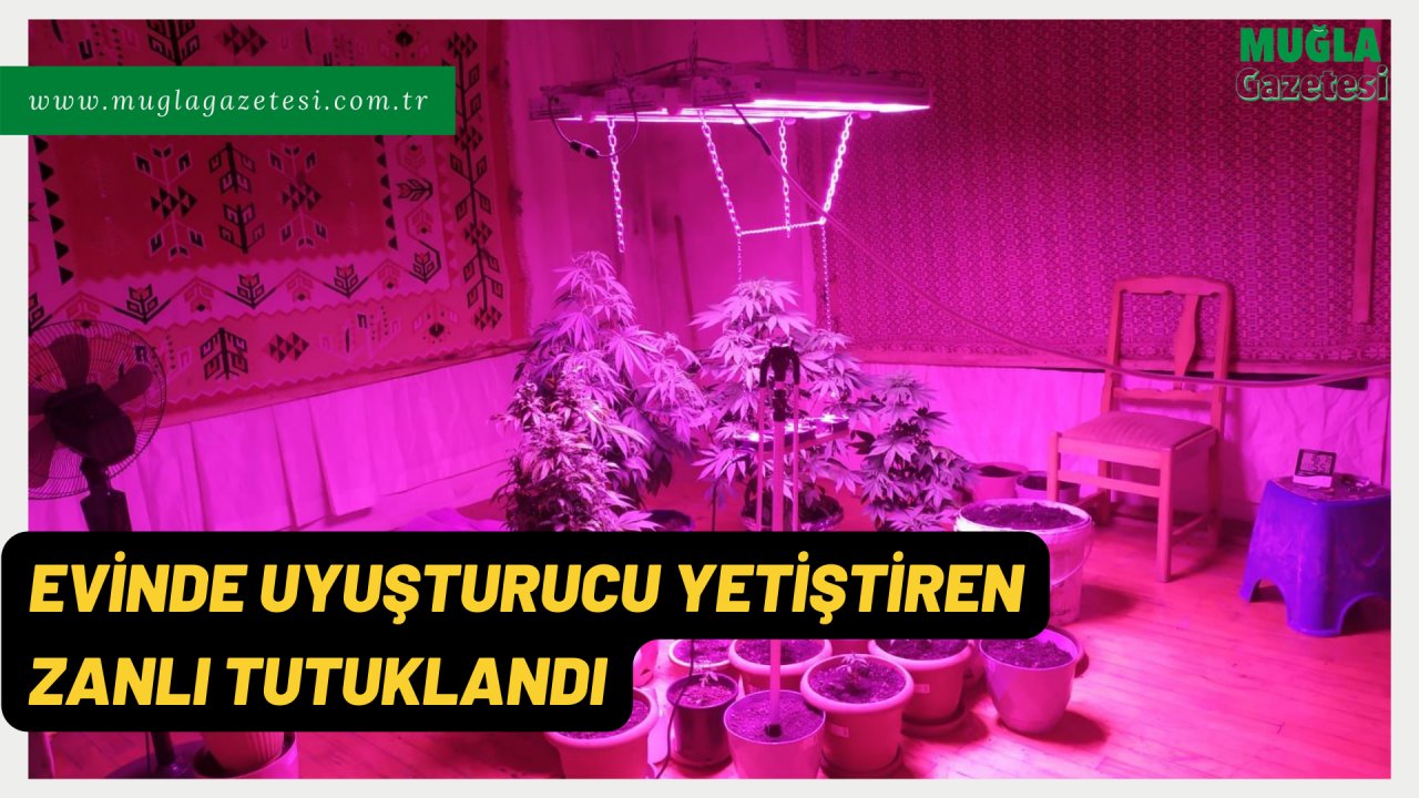 EVİNDE UYUŞTURUCU YETİŞTİREN ZANLI TUTUKLANDI
