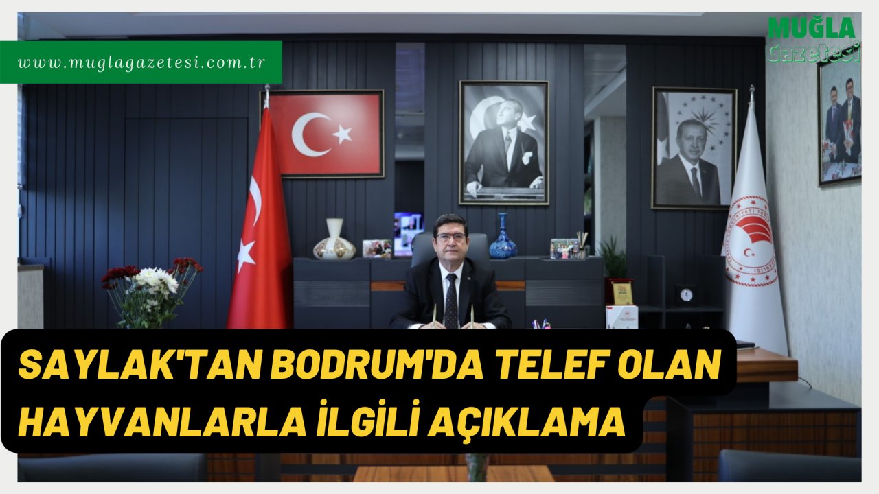 SAYLAK'TAN BODRUM'DA TELEF OLAN HAYVANLARLA İLGİLİ AÇIKLAMA