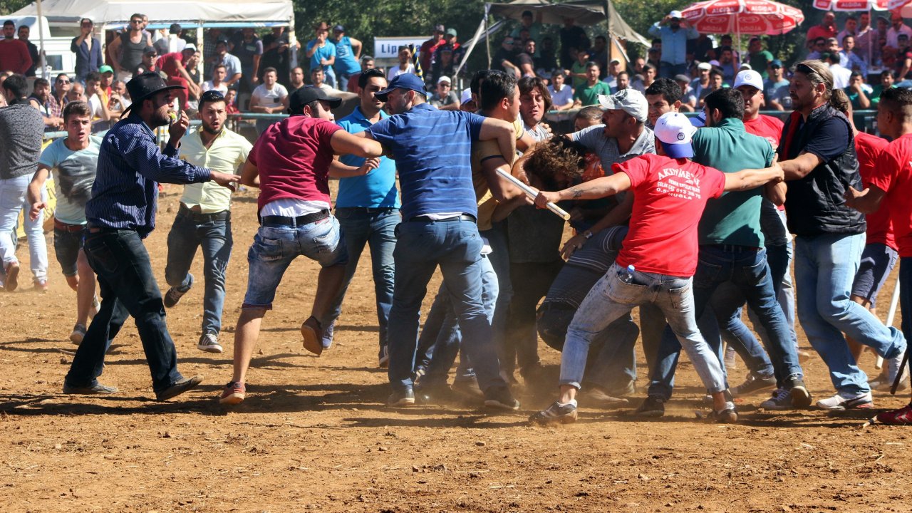 Boğalar ayrı, sahipleri ayrı güreşti