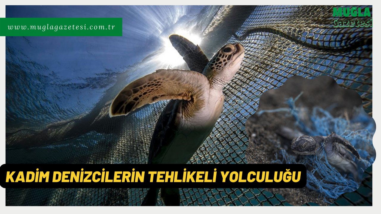 KADİM DENİZCİLERİN TEHLİKELİ YOLCULUĞU